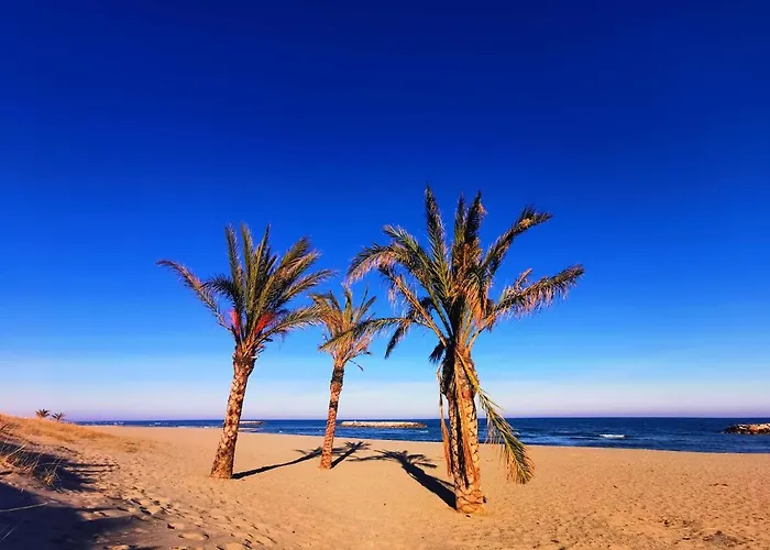 Cap De Mer - Vue Sur Mer - Une Chambre - Une Terrasse - Acces Direct Plage - Commerces A Proximites